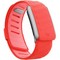 Спортивный ремешок Whoop Sportflex 5.0 Bounce - фото 80888