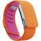 Спортивный ремешок Whoop Sportflex MG Burst - фото 80975