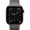 Apple Watch Series 11, 42 mm, Slate Titanium Link Bracelet - фото 83404