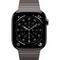 Apple Watch Series 11, 46 mm, Slate Titanium Link Bracelet - фото 83422