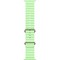 Apple Watch Ultra 3, 49 mm, Natural Ocean Band Neon Green - фото 83588
