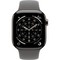 Apple Watch Series 11, 42 mm, Natural Titanium Stone Gray Sport Band - фото 84278
