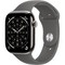 Apple Watch Series 11, 46 mm, Natural Titanium Stone Gray Sport Band - фото 84283