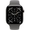 Apple Watch Series 11, 46 mm, Natural Titanium Stone Gray Sport Band - фото 84284